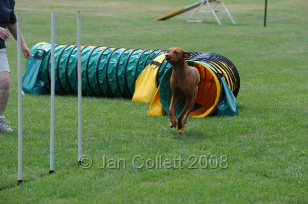 DOG_0453.JPG