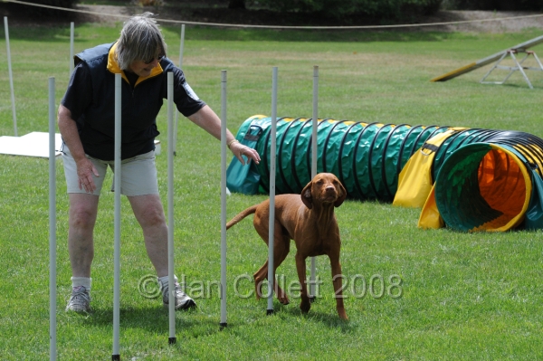 DOG_0455.JPG