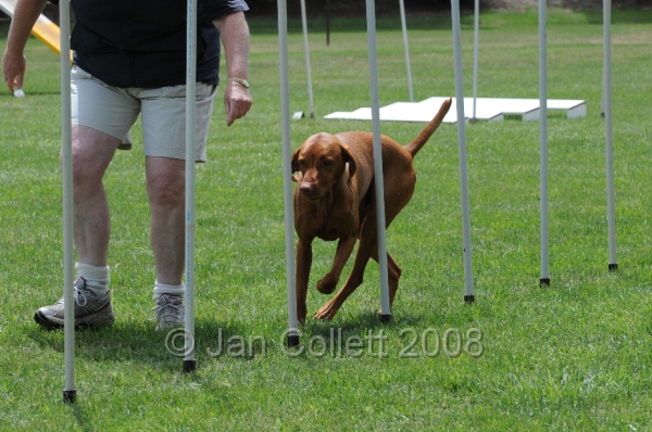DOG_0458.JPG