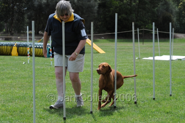 DOG_0461.JPG