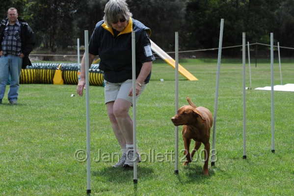 DOG_0463.JPG