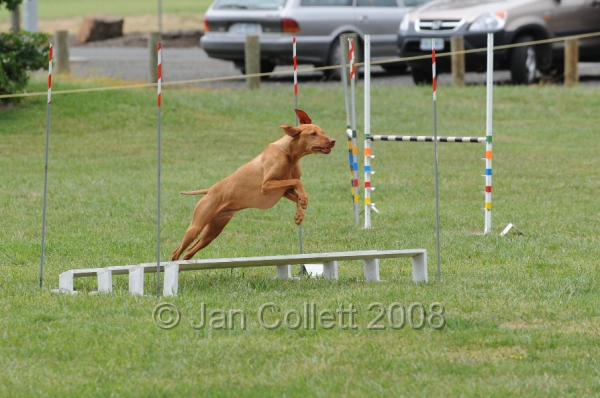 DOG_0472.JPG