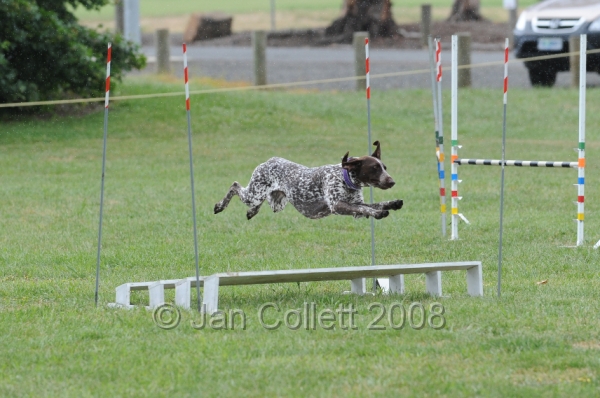 DOG_0489.JPG