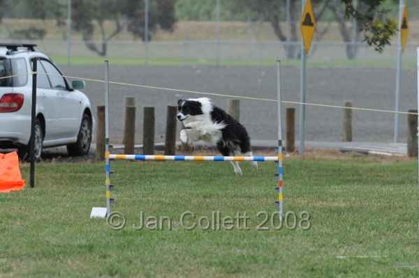 DOG_0504.JPG