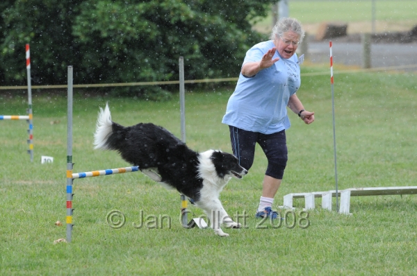 DOG_0511.JPG