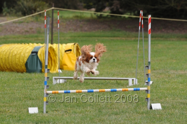 DOG_0532.JPG
