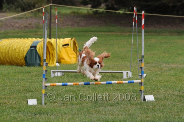 DOG_0533.JPG