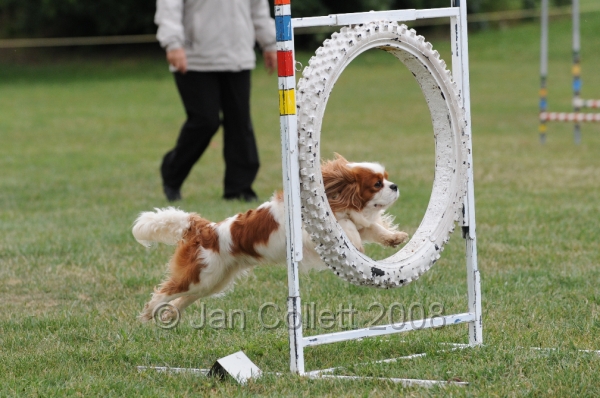 DOG_0534.JPG