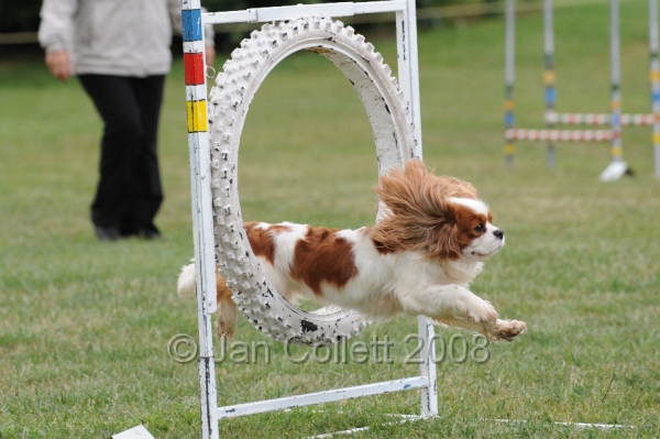 DOG_0535.JPG