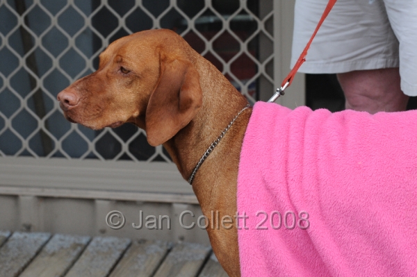 DOG_0555.JPG