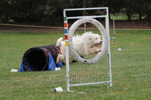 DOG_0558.JPG