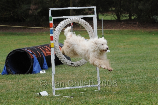 DOG_0559.JPG