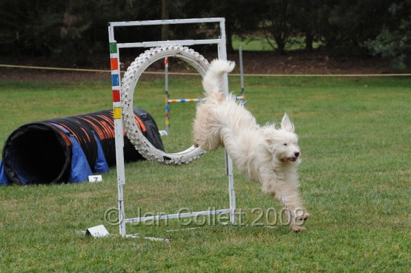 DOG_0560.JPG