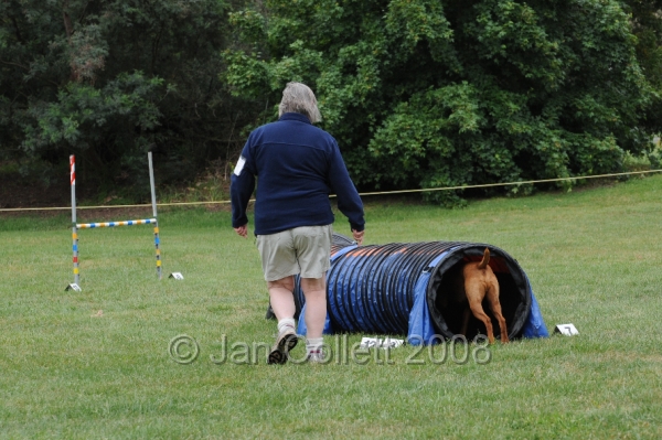 DOG_0566.JPG