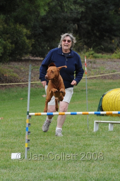 DOG_0571.JPG