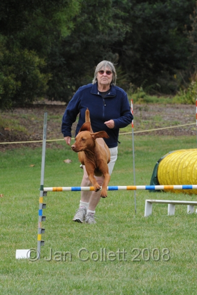 DOG_0572.JPG
