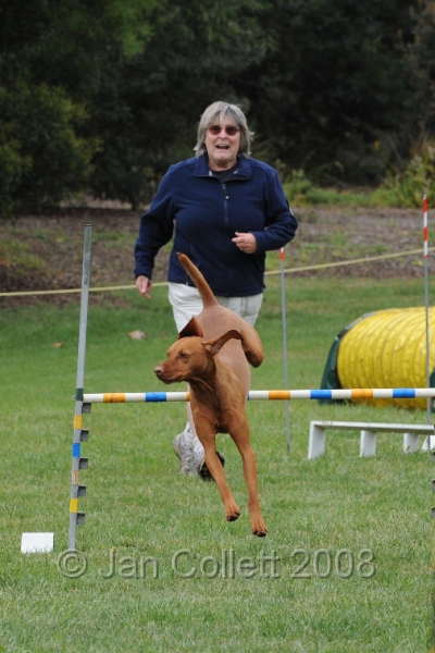 DOG_0573.JPG