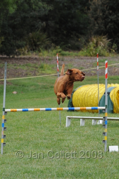 DOG_0574.JPG