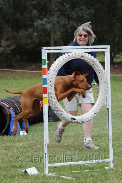 DOG_0576.JPG
