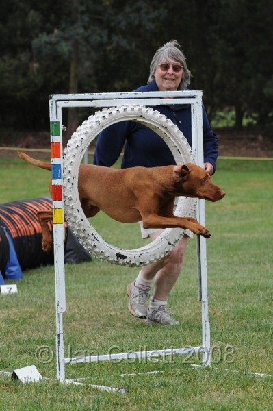 DOG_0577.JPG