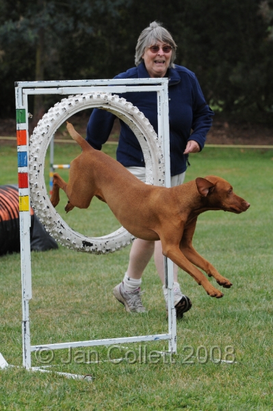DOG_0578.JPG