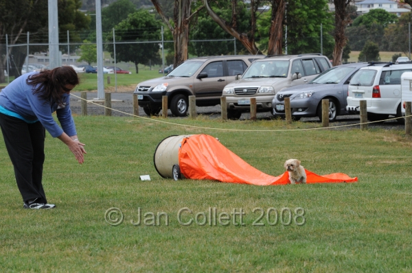 DOG_0589.JPG