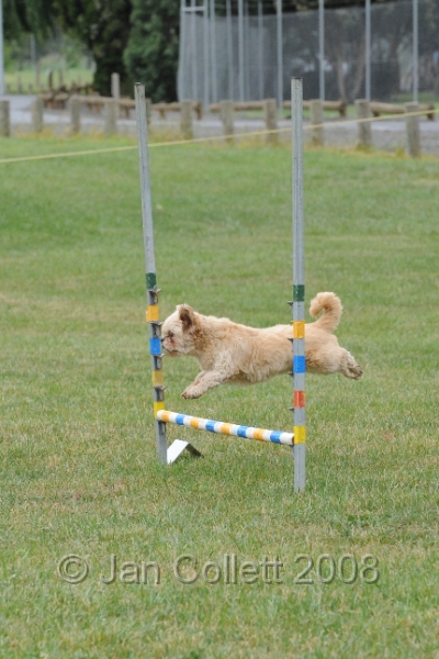 DOG_0591.JPG