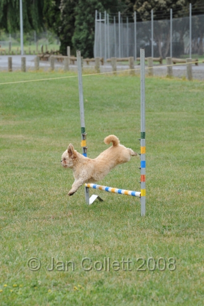 DOG_0592.JPG