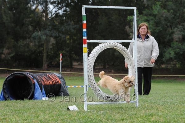 DOG_0594.JPG