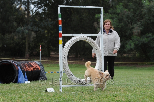 DOG_0595.JPG
