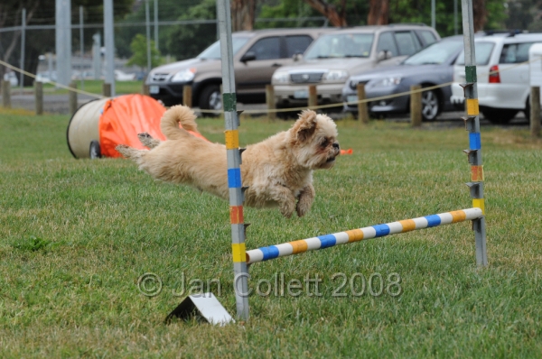 DOG_0598.JPG