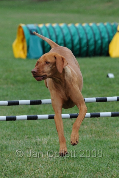 DOG_0615.JPG
