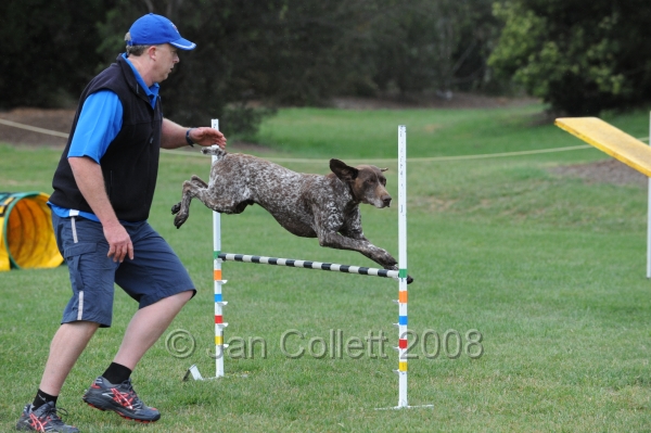 DOG_0620.JPG