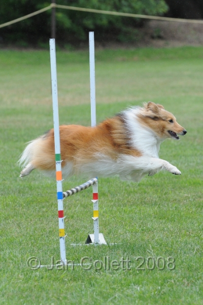 DOG_0634.JPG