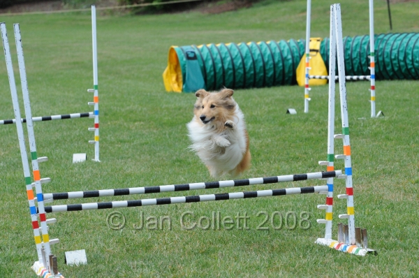 DOG_0636.JPG