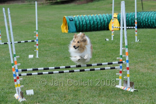 DOG_0637.JPG