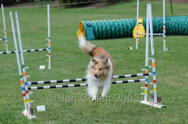 DOG_0638.JPG