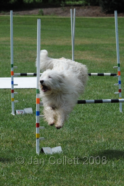 DOG_0646.JPG