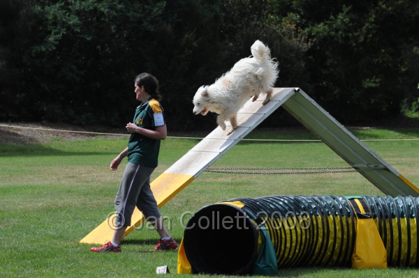 DOG_0647.JPG
