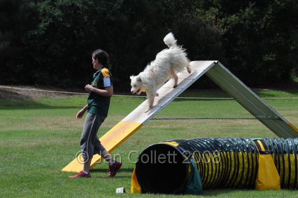DOG_0648.JPG