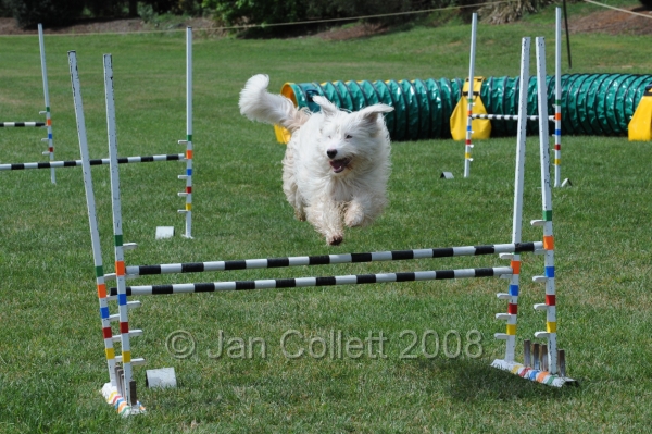 DOG_0654.JPG