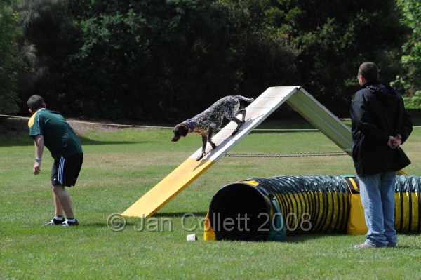 DOG_0667.JPG