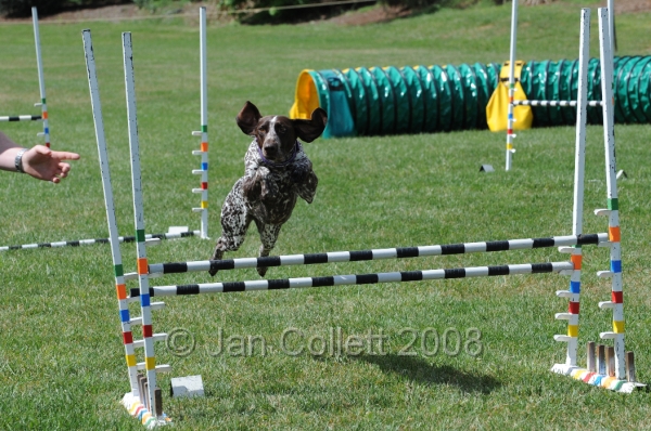 DOG_0669.JPG