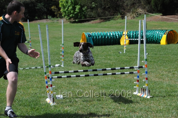 DOG_0670.JPG