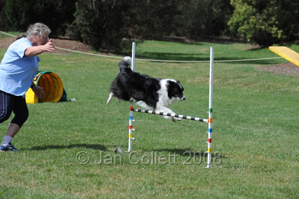 DOG_0680.JPG