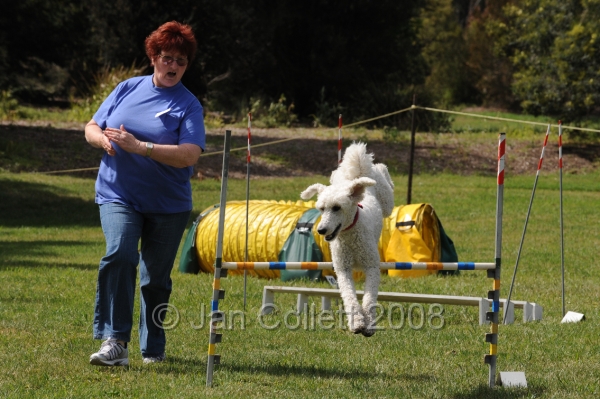 DOG_0715.JPG