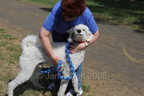 DOG_0724.JPG