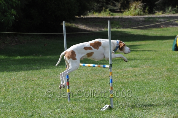 DOG_0729.JPG