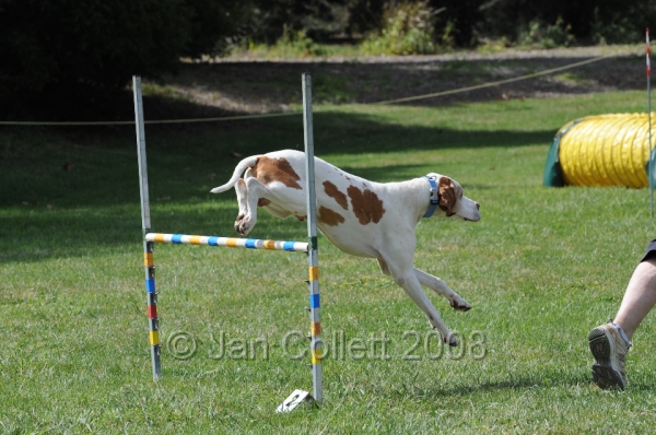 DOG_0730.JPG