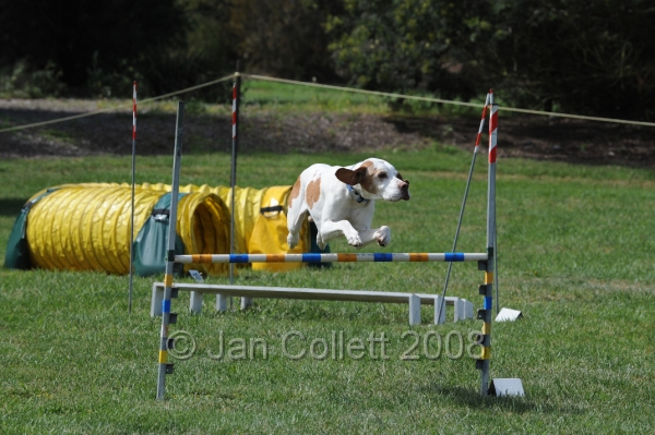 DOG_0738.JPG